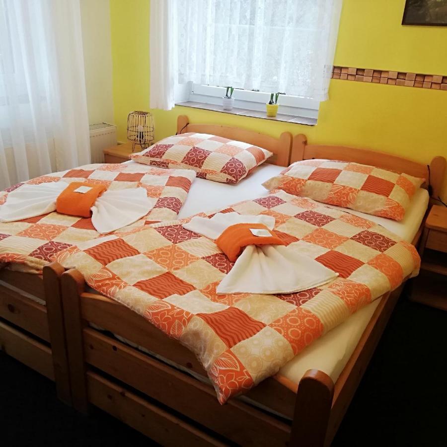 Pension Pastis Janov Esterno foto